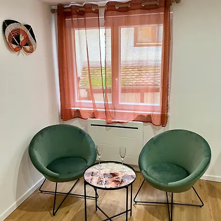 Apartment Le Xvii - Au Coeur De *